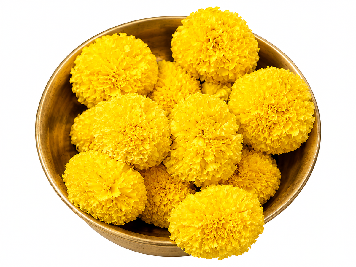 Fresh Marigold Flowers - Yellow | 80g