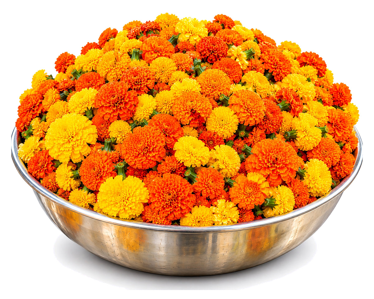 Bulk Marigold Flowers - Yellow & Orange Mix | 10 kg Bulk Pack