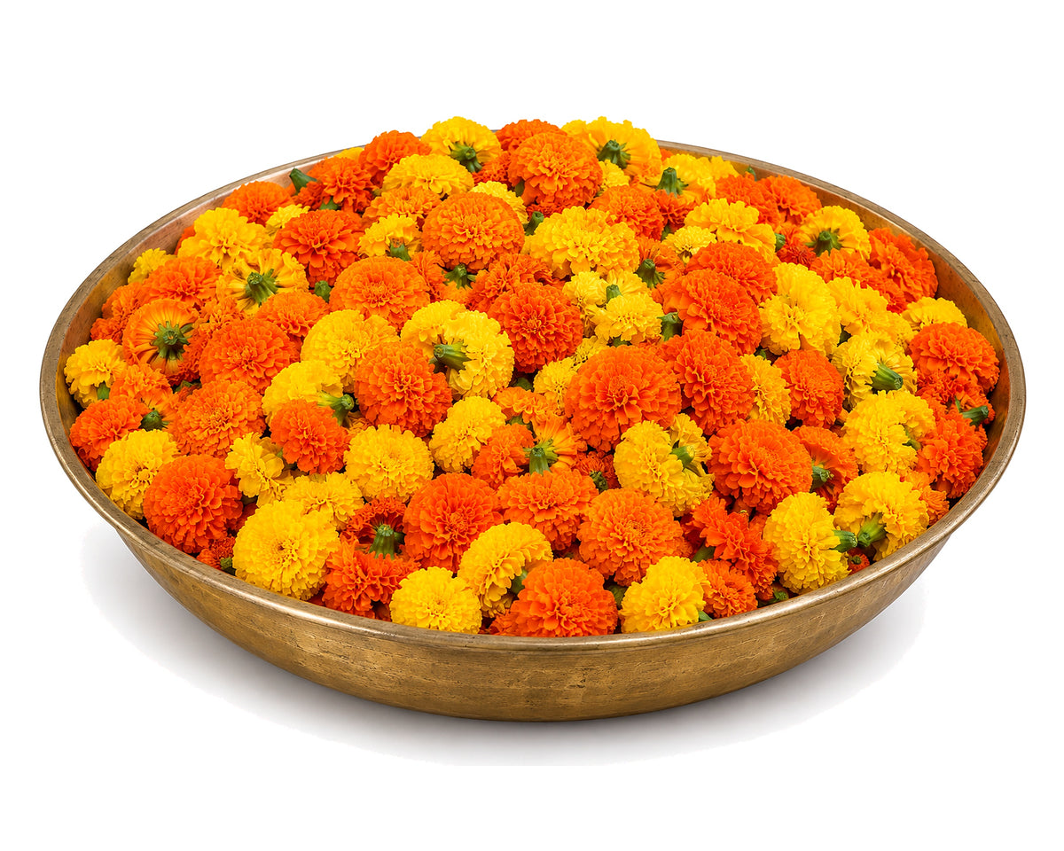 Bulk Marigold Flowers - Yellow & Orange Mix | 5 kg Bulk Pack