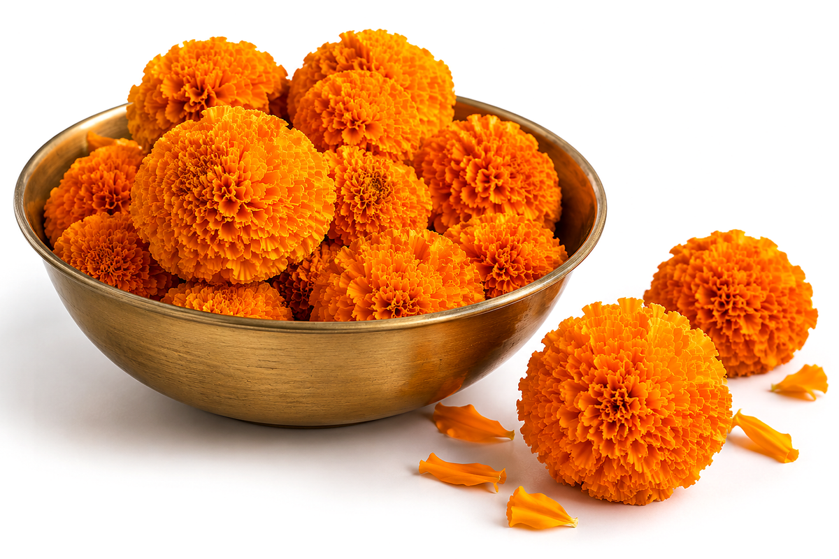 Fresh Orange Marigold Flowers 80g | Green White