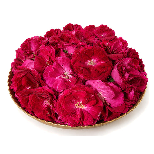 Red Country Rose (big pack) Flowers - 100g