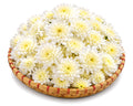 Bulk White Chrysanthemum Flowers - 3 kg Bulk Pack