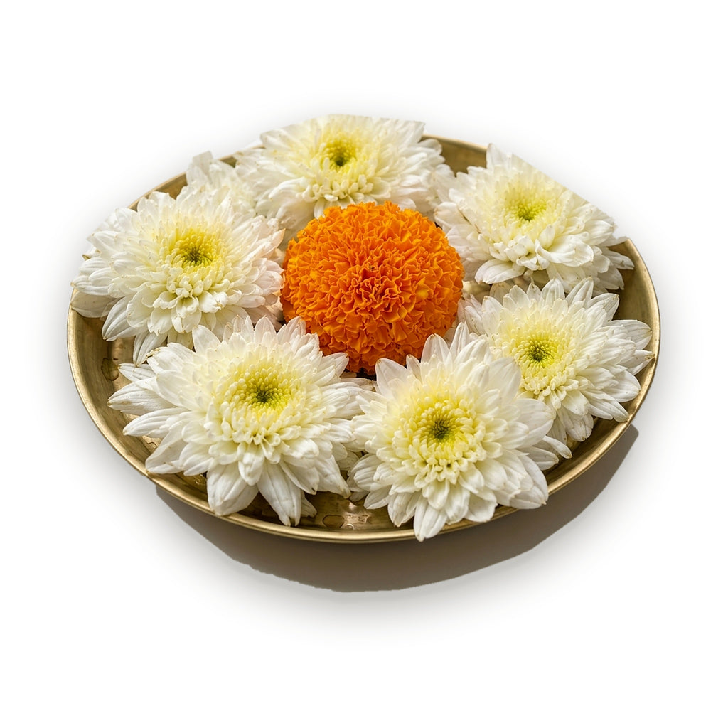 White Chrysanthemum (Sevanti / Guldaudi) Flowers - 60g