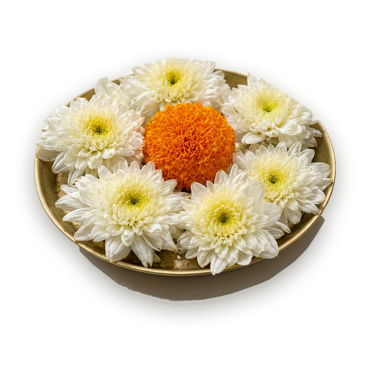 White Chrysanthemum (Sevanti / Guldaudi) Flowers - 60g