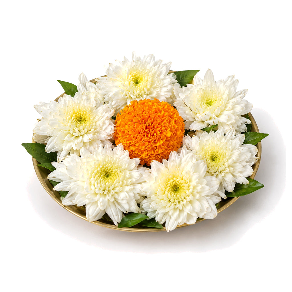 White Chrysanthemum (Sevanti / Guldaudi) Flowers - 60g