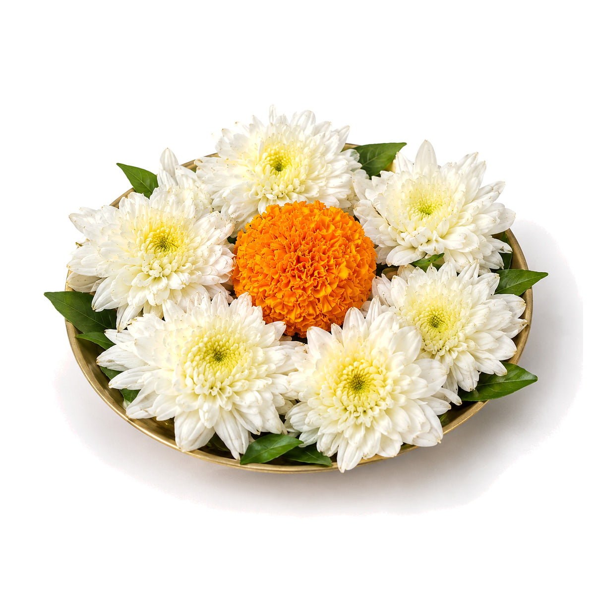 White Chrysanthemum (Sevanti / Guldaudi) Flowers - 60g